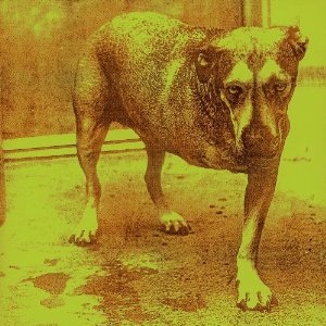 Alice in Chains album